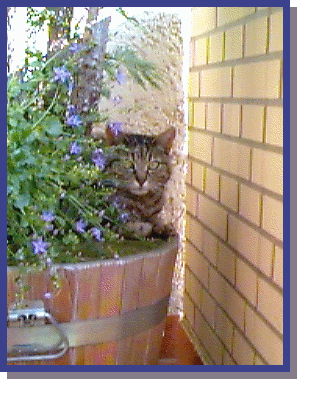 Tiga 3 Jahre spter