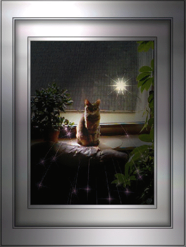 Tiga als Bild