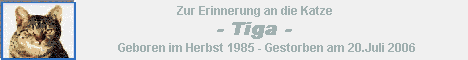 Banner Tiga