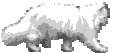 GIF-Animationen -Katzen-