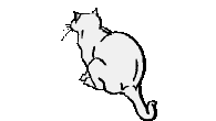 GIF-Animationen -Katzen-