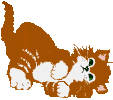 GIF-Animationen -Katzen-