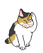 GIF-Animationen -Katzen-