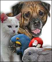  Tierarzt Dr. Rosenbaum -Kleintiere-